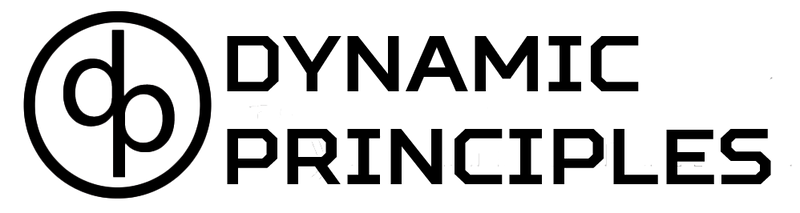 DPC (Dynamic Plate Carrier) Front Plate Bag – Dynamic Principles